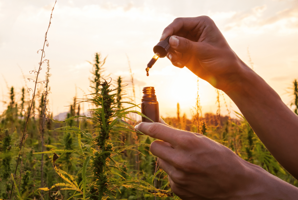 Bannery-blog-2240-×-1500-px-83-1024x686