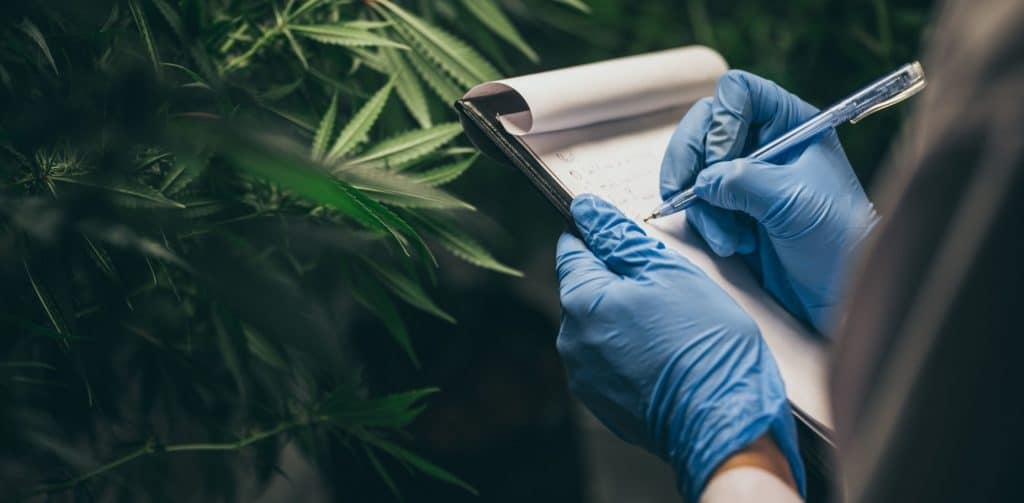 Bannery-blog-23-1024x503