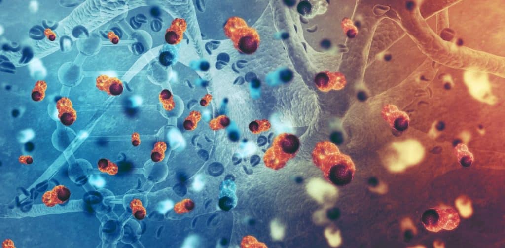 Bannery-blog-25-1024x503