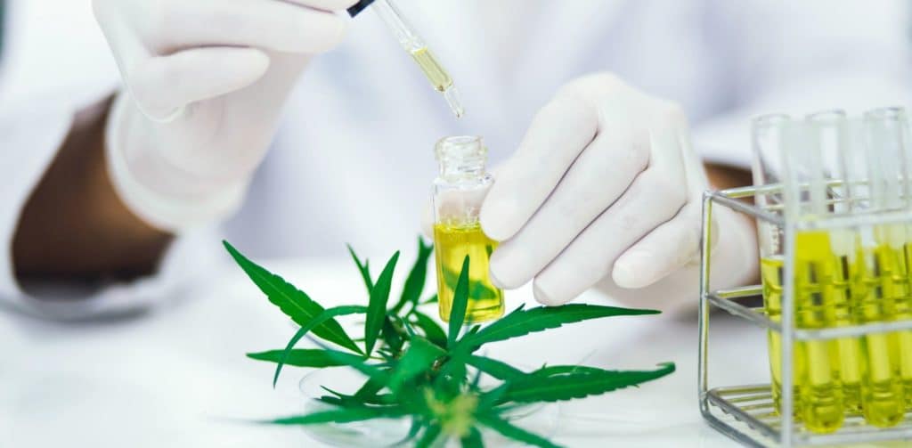 Bannery-blog-8-1024x503