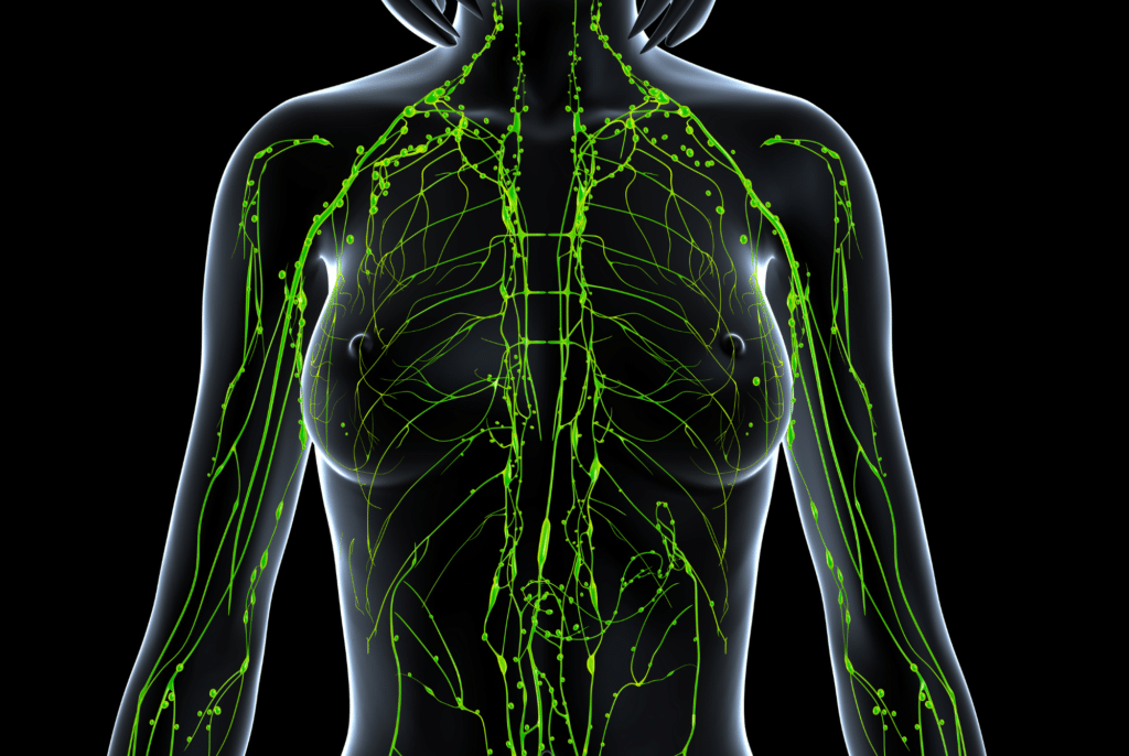 Kopie-navrhu-Kopie-navrhu-Kopie-navrhu-Navrh-bez-nazvu-24-1024x686