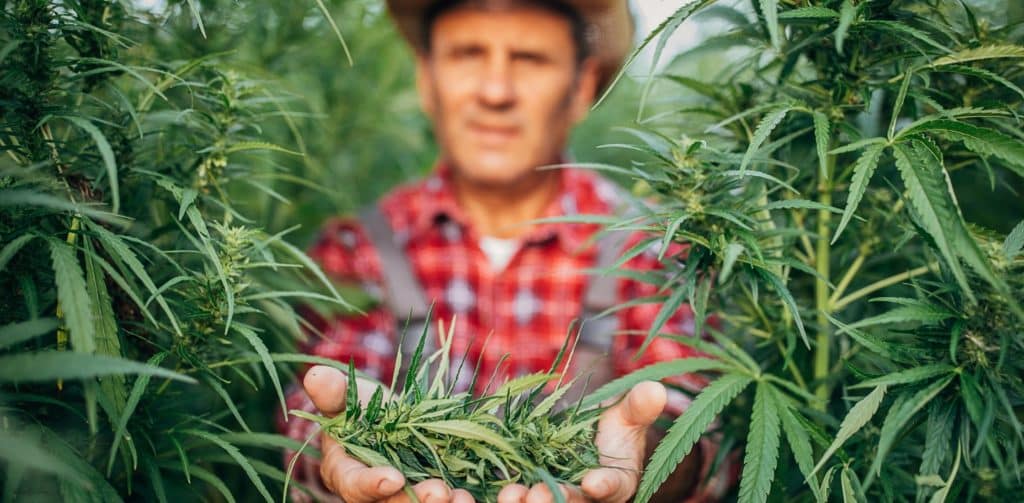 Kopie-navrhu-blog-pics-10-1024x503