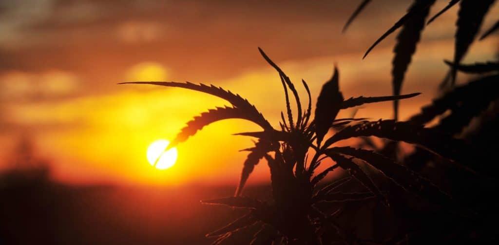 Kopie-navrhu-blog-pics-11-1024x503