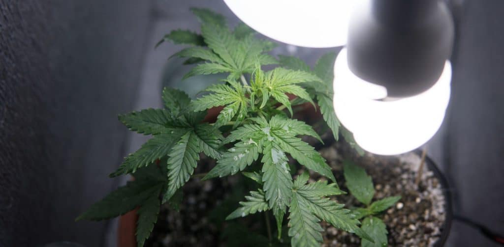 Kopie-navrhu-blog-pics-8-1024x503