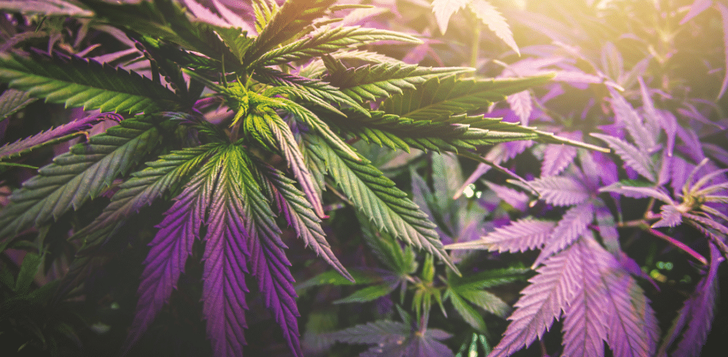 Navrh-bez-nazvu-24-1024x503