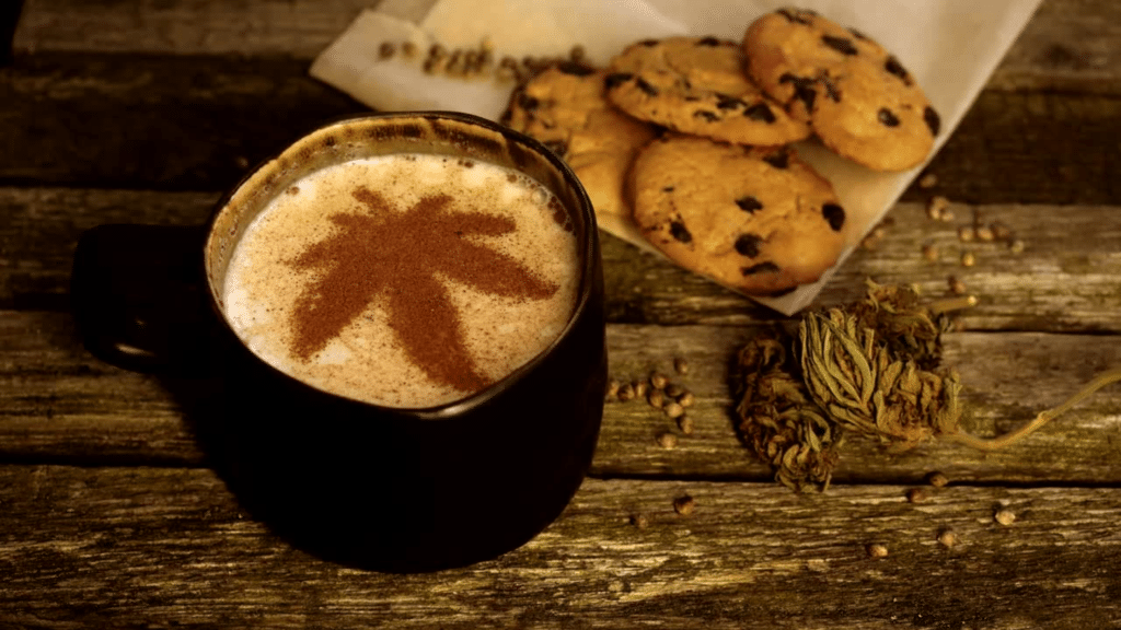 Navrh-bez-nazvu23-1024x576