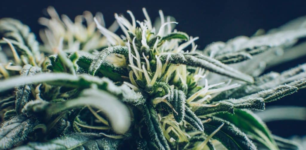 blog-pics-1-1024x503