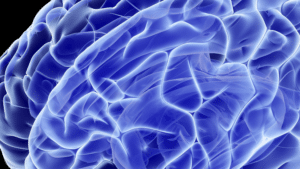 brain-300x169
