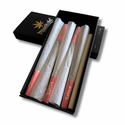 Kónická dutinka na joint 5 ks Sativa 98 mm
