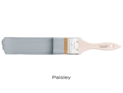 006 HR Paisley 2 logo