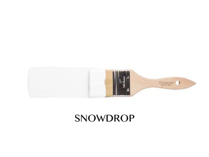 T3SNOWDROP