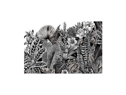 Abstract Jungle - Redesign With Prima