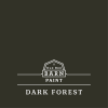 ORB PAINT 007 DARK FOREST 1