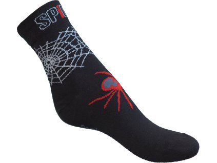 spider