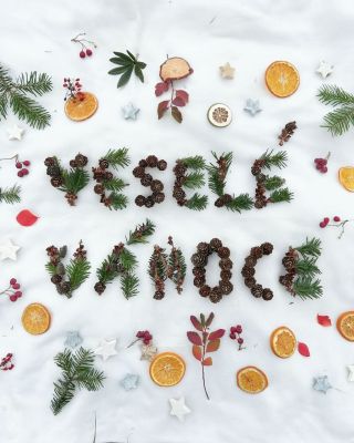 Přeji vám veselé Vánoce a pohodové svátky plné klidu a radosti. ✨🎄🎅 #pranikvanocum #veselevanoce