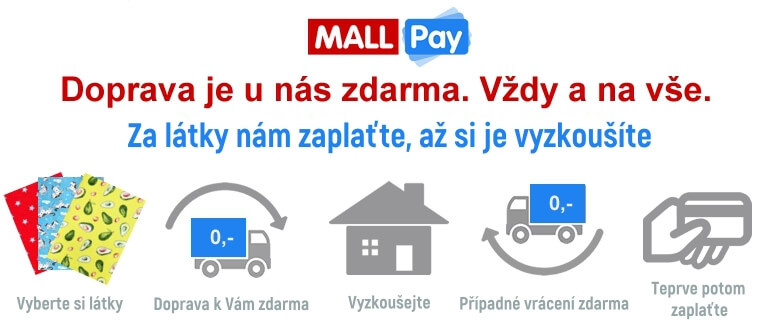 mall-pay