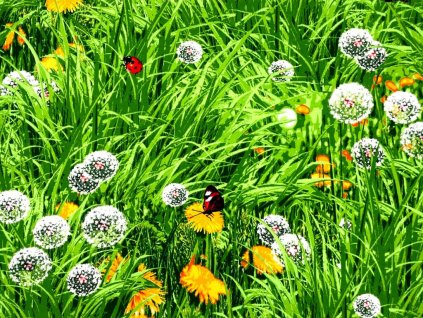 Bavlněné plátno Domestik 145 se vzorem letní louky, šíře 220 cm, vhodné pro ložní povlečení, prostěradla a bytový textil.