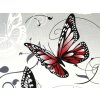 Platno motyli metraz