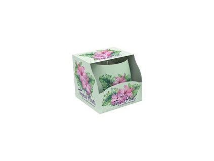 Sviečka aromatická v skle 100 g SAS 3018 Tropical Hibiskus