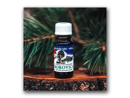 Éterický olej 10 ml - Borovica