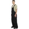 R00603080_4_MODFS_Sumpter 2L Bib-Black.png.high-res.jpeg