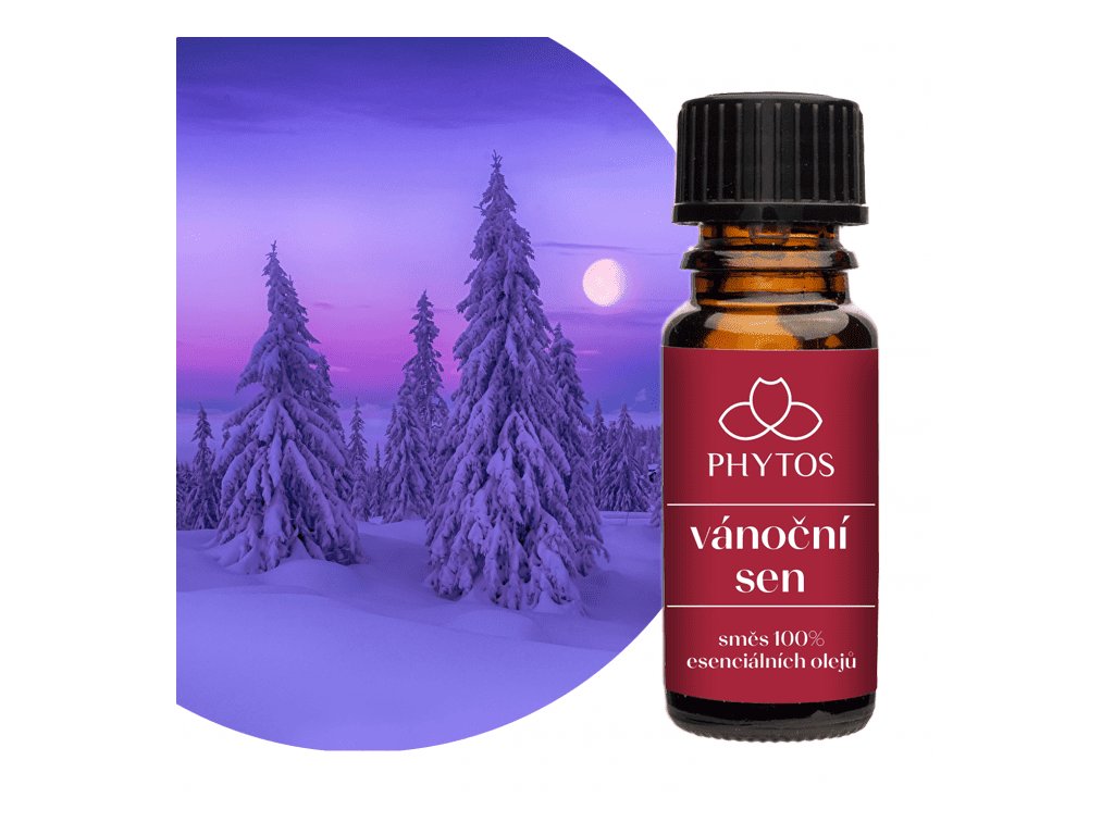 vanocni sen 1 700x700 2