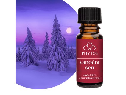vanocni sen 1 700x700 2