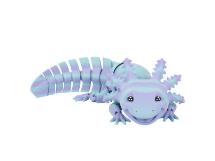 Axolotlwinter1