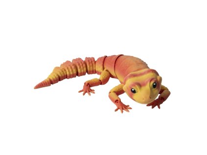 Gekon - Postupná oranžová