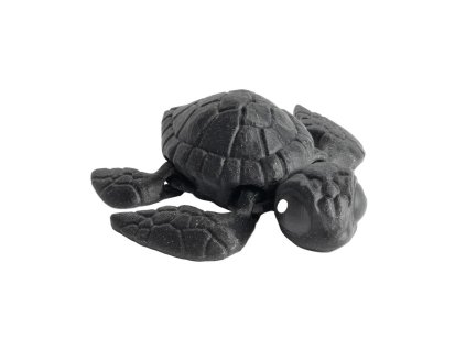 Zelvicka trpytivacerna