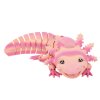 Axolotlspring1