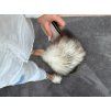 GLACIER ÉLITE Fur Slides – Limited Edition