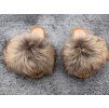 RACCOON Luxury Slides Gold – Natural Edition