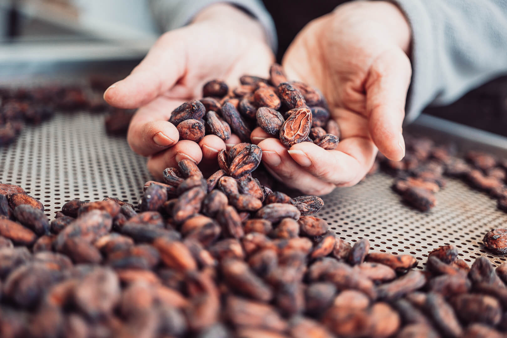 Ručně vyrobená čokoláda nebo bean to bar?