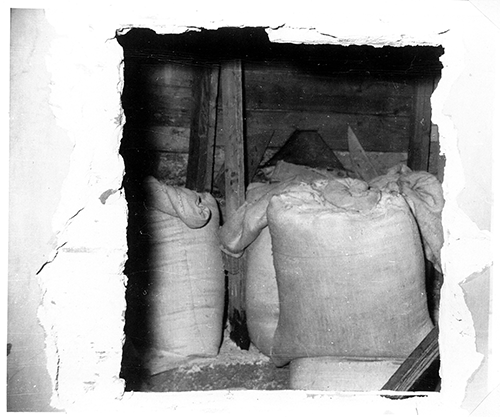 Kronika-SP-2026-04-03