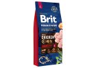 Brit premium