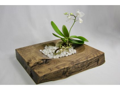 Rustikální dubová mísa 25 x 31 cm