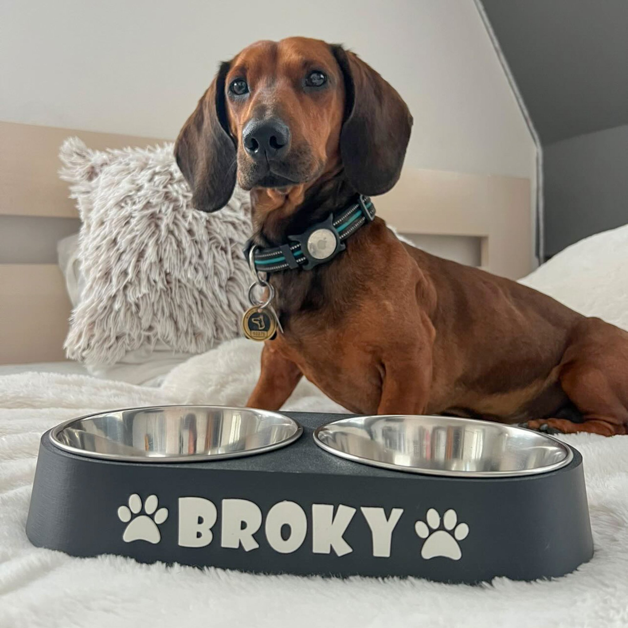 Aký objem misky potrebuje pes?