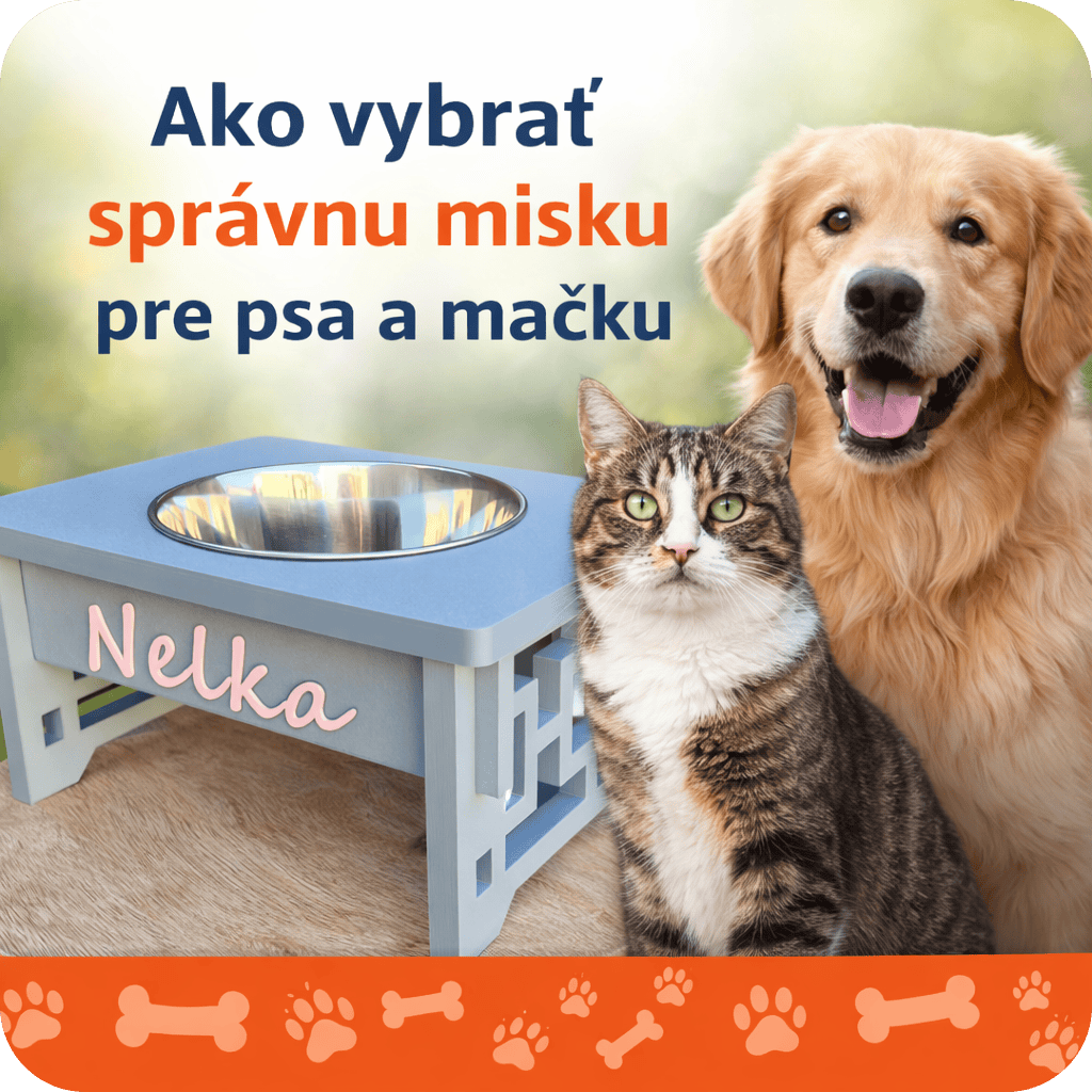 Ako vybrať správnu misku pre psa a mačku