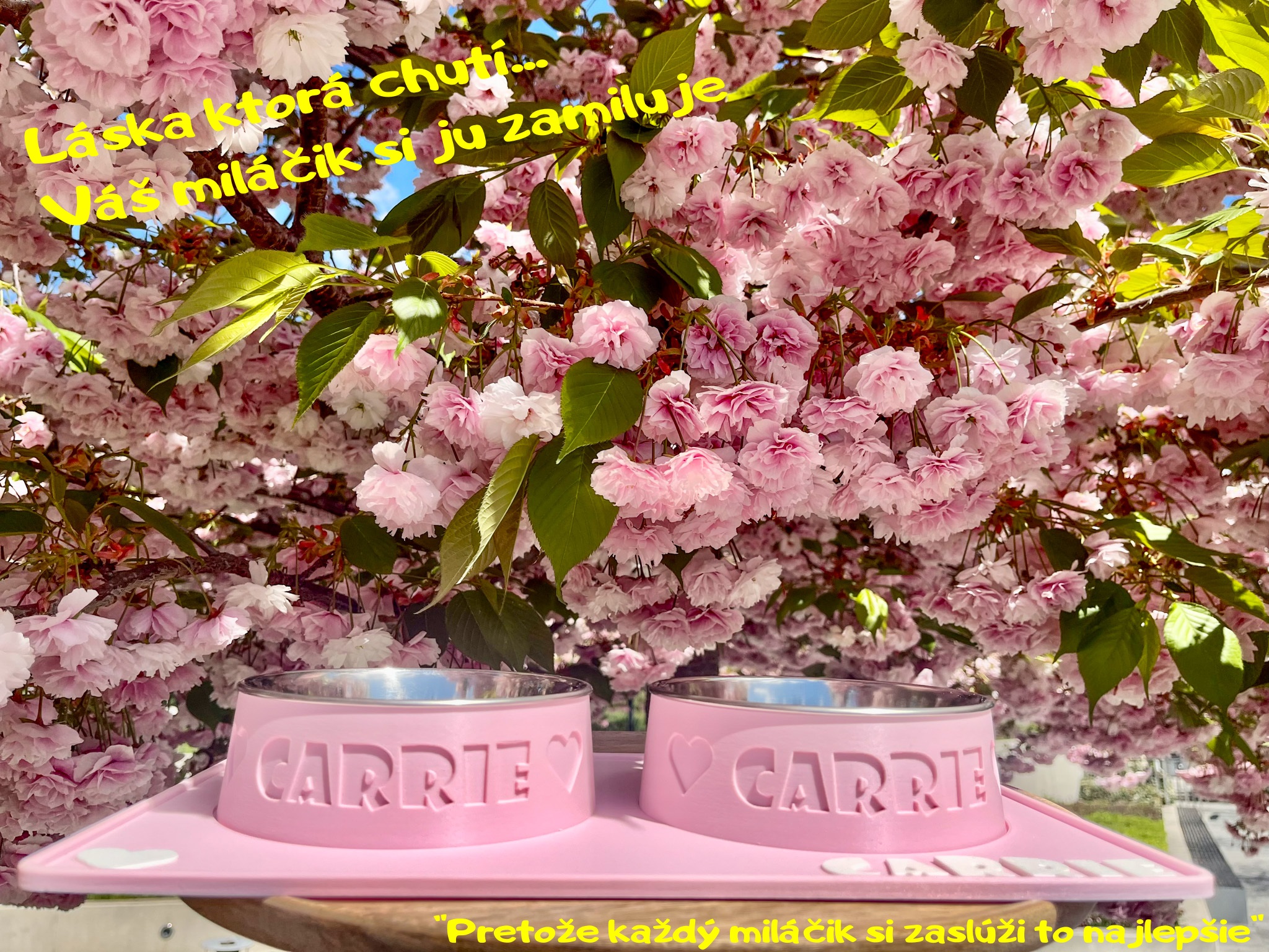 misky a podlozky pre psy a macky