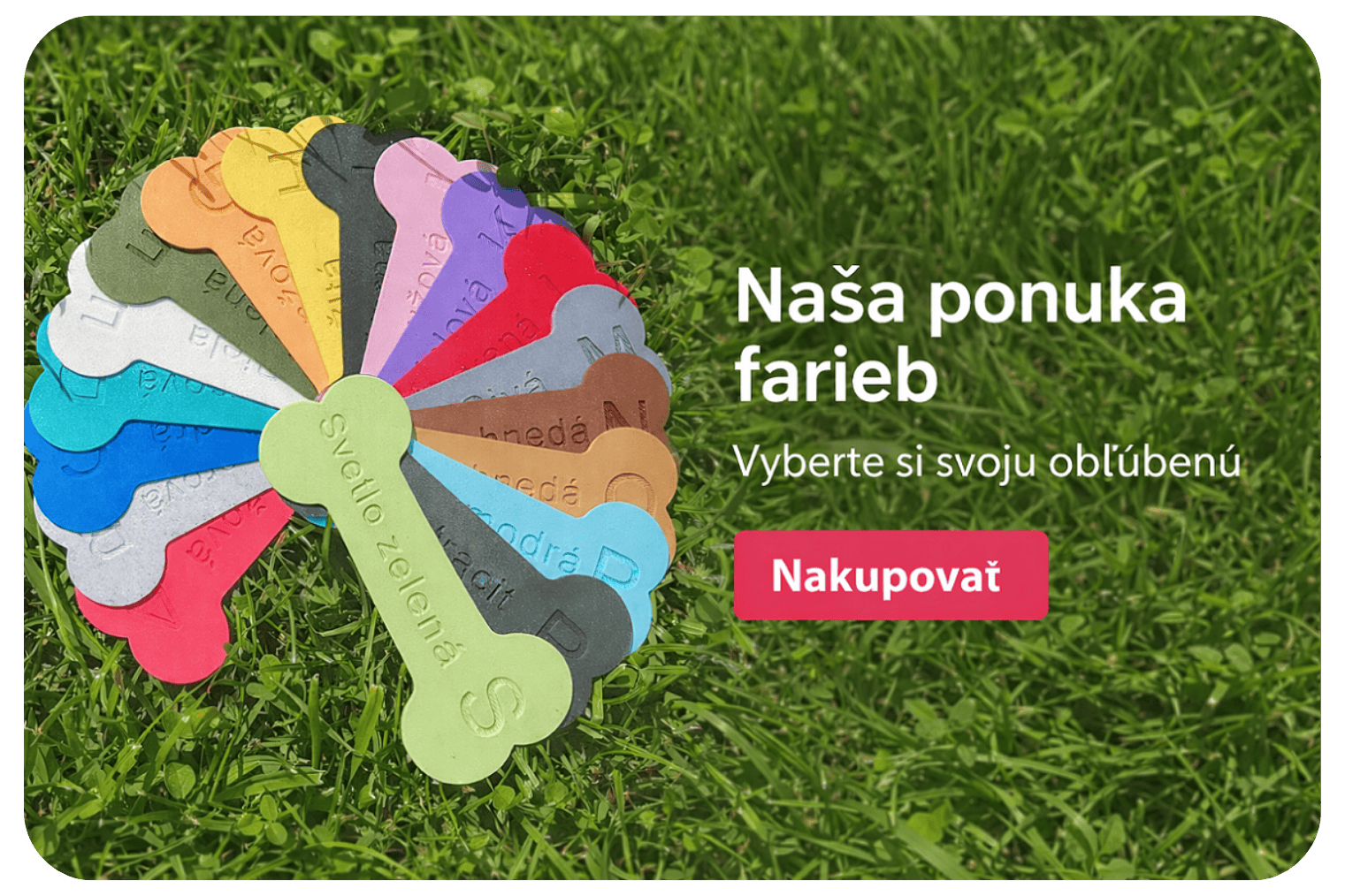 Farebná paleta na tráve