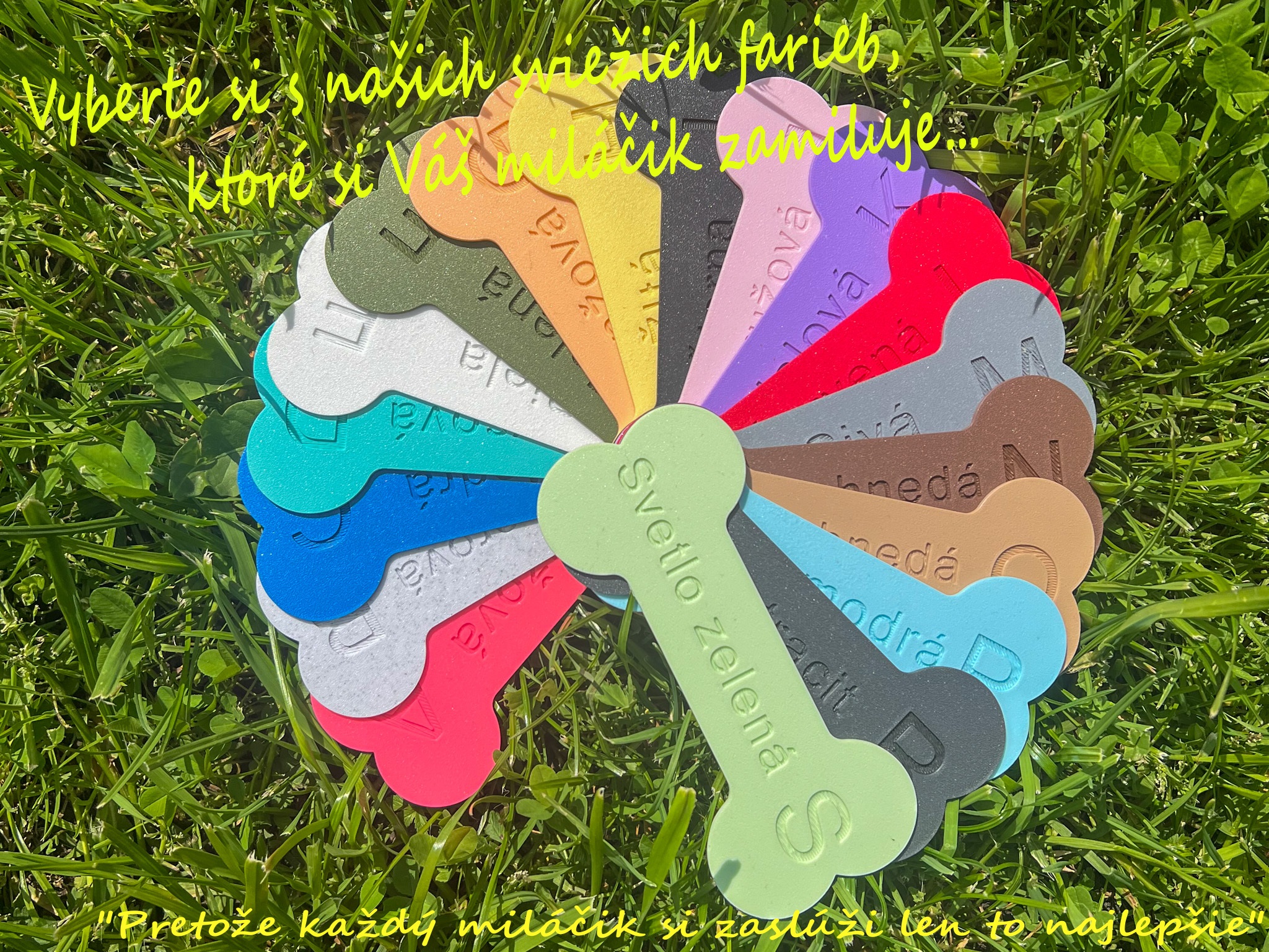 Farebná paleta na tráve