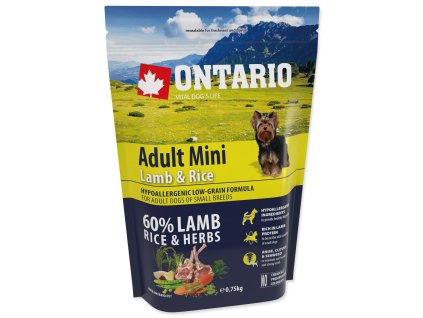 Ontario adult mini lamb