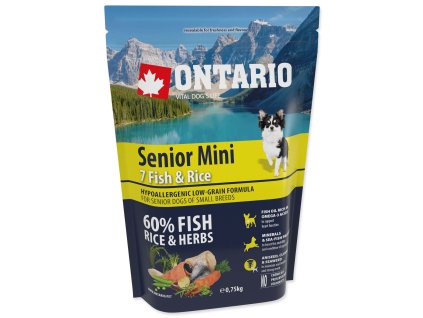 Ontario senior mini