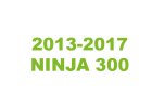 NINJA 300 2013-2017