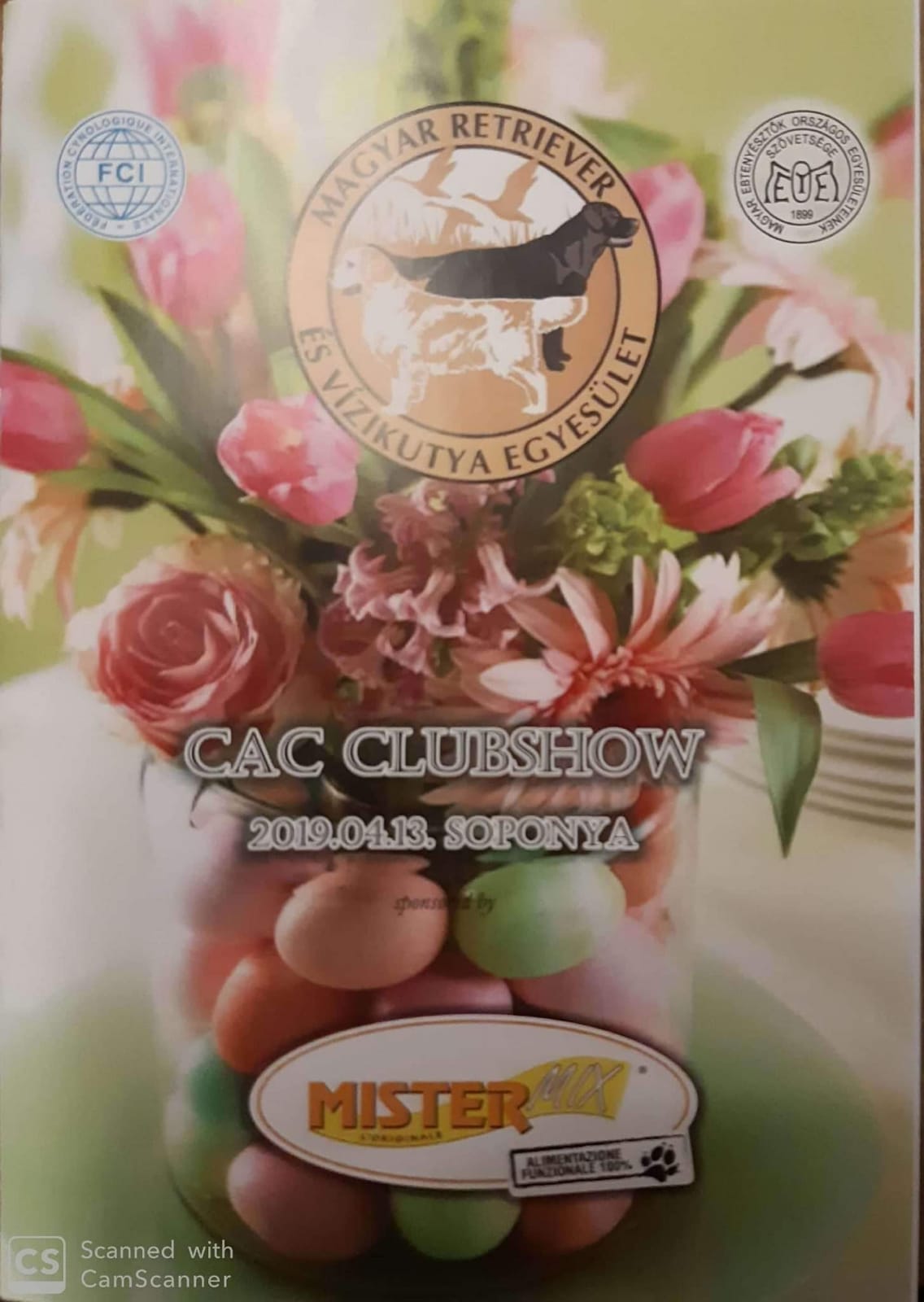 Magyar Retriever és Vízikutya Egyesület Hungary, Soponya  Club show  / 125 entered dogs /