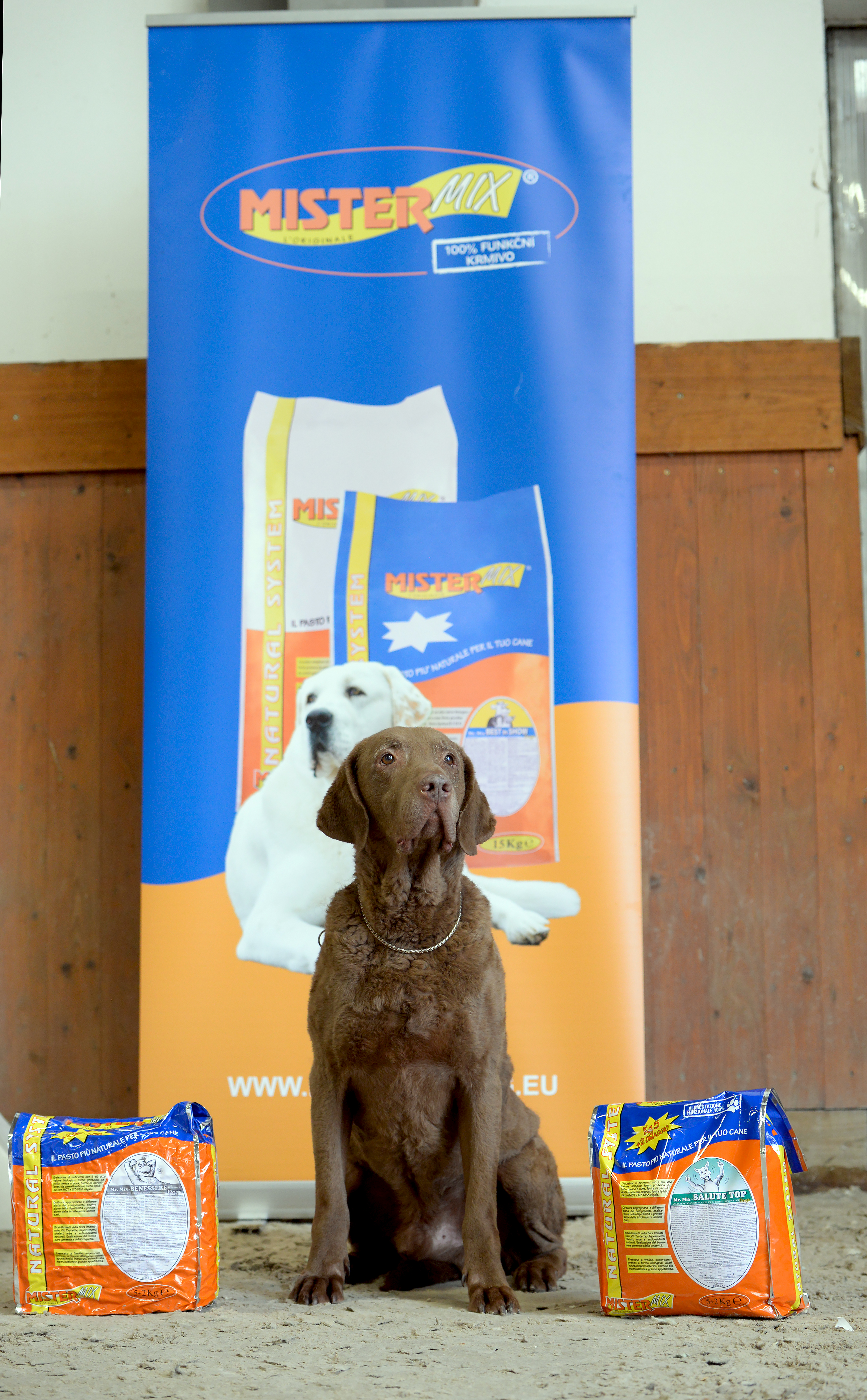 2023.10.22. Minden retriever fajta klubkiállítása CAC, CAJC és CCh címek odaítélésével. (Czech)