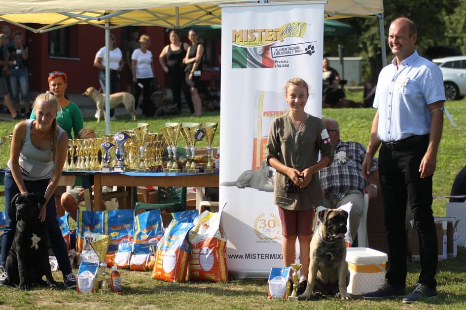 Club and Special dog show of MOLOSS CLUB CZ 12.9.2020 /  Zbraslav u Brna