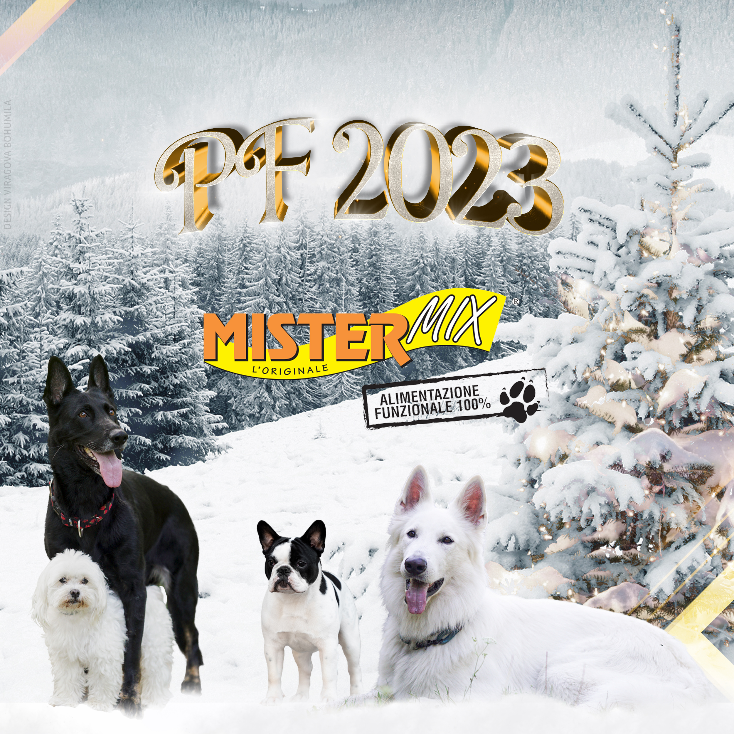 PF 2023