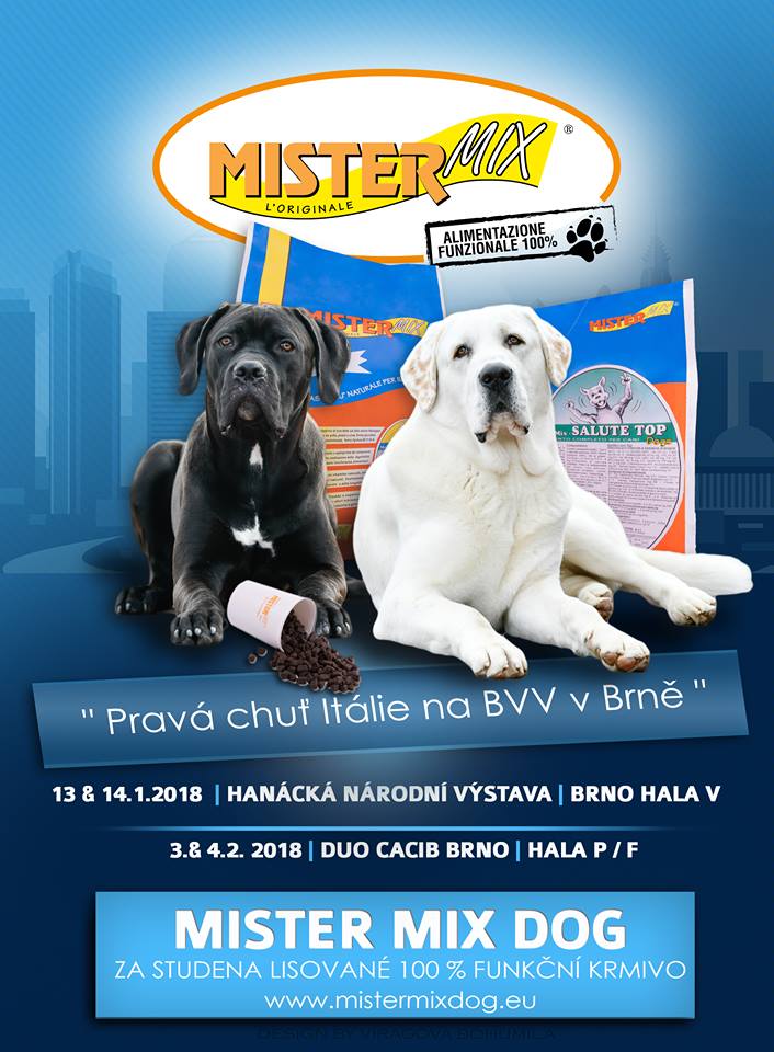 NATIONAL DOG SHOW FOR ALL BREEDS 2018, Brno, Czech republic